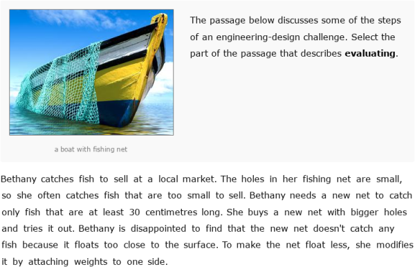 IXL - Identify parts of the engineering-design process (Year 7 science ...