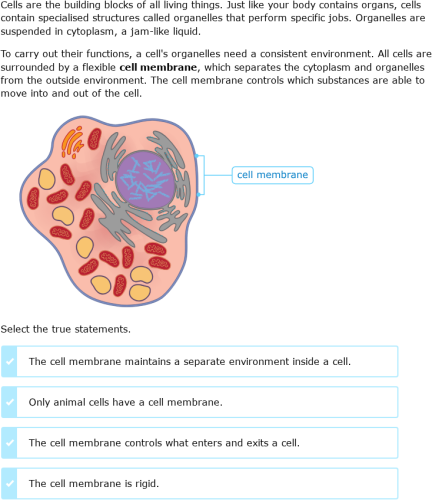 IXL - Structure and function of the cell membrane (Year 11 science ...