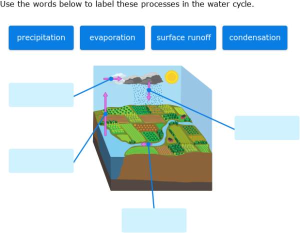 IXL - Label parts of water cycle diagrams (Year 4 science practice)